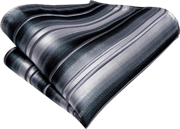 Dubulle Mens Paisely Silk Tie for Men Necktie and Pocket Square Set - Image 4